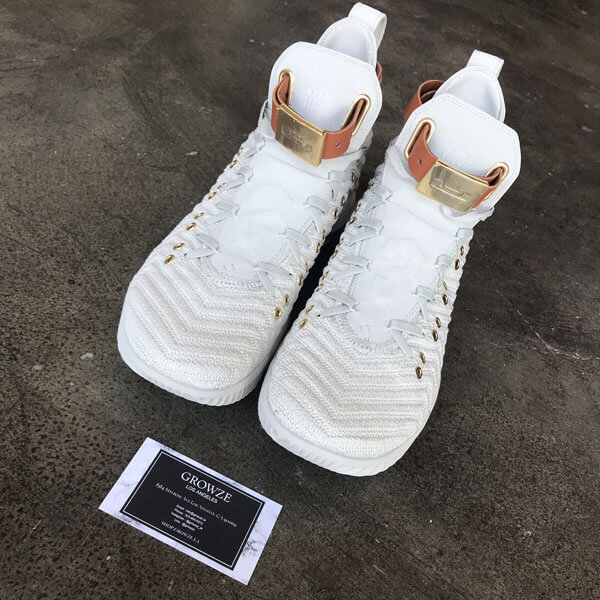 ☆【ナイキ】追跡発 ナイキ レブロン Wmns LeBron 16 HFR